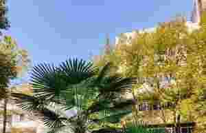 像極了愛(ài)情