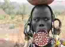 世界之大無(wú)奇不有,簡(jiǎn)直不